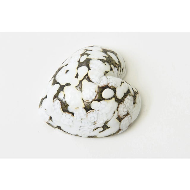 Vintage Murano Glass Heart Sculptures Paperweights 50's Pair of White, Gold For Sale In Miami - Image 6 of 12