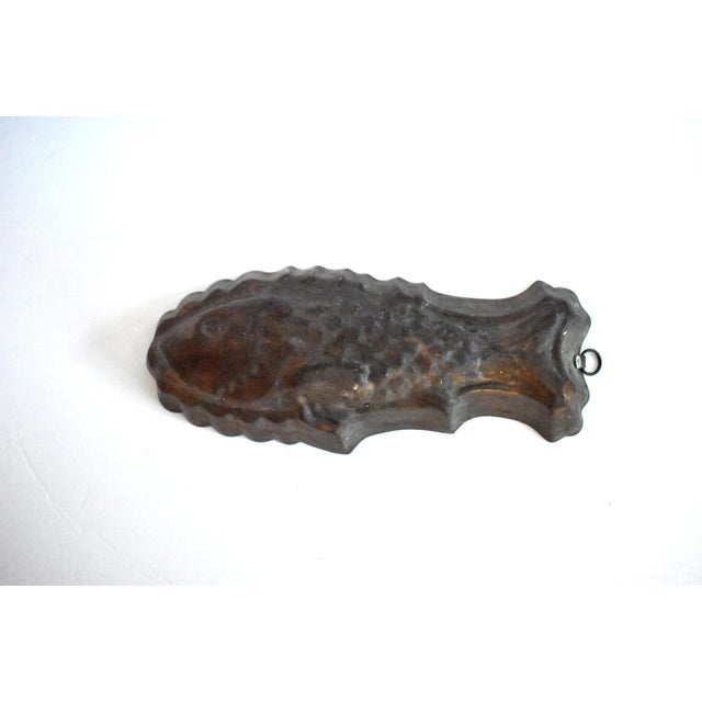 An antique copper fish mould or mold with tin lining and a brass loop for hanging at the tail. Heavy; 19th- to early 20th-...