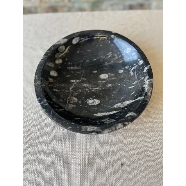 Stone Goniatite Bowl For Sale - Image 7 of 8