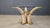 Vintage Faux Tusk Center or Side Table in the style of Valenti, 1970s For Sale - Image 9 of 11