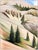 Lowell Nesbitt 1975 Animas Valley, Colorado II Oil Painting Lowell Nesbitt For Sale - Image 4 of 6