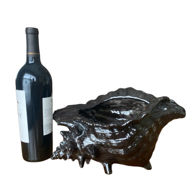 Large classic conch shell planter or cache pot in rare, high gloss black.