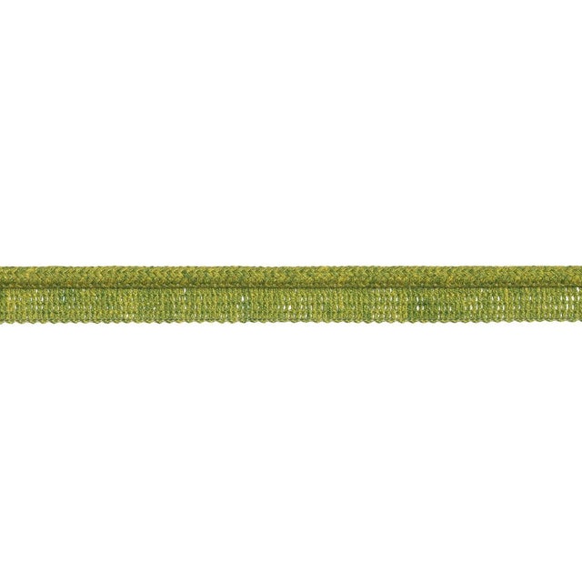 Schumacher Eubie Lip Cord Indoor/Outdoor Trim In Leaf For Sale