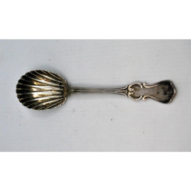 Silver Sugar Spoon in Shell Shape with Crimped Handle For Sale - Image 6 of 7