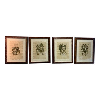 Trobridge Set of 4 Botanical Prints For Sale