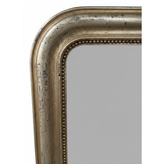 French 19th Century Louis Philippe Giltwood Wall Mirror For Sale - Image 3 of 11