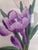 Vintage Framed Flower Embroideries on Silk, Set of 2 For Sale - Image 5 of 18