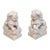 Pair of Marble Foo Dogs For Sale