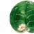 George Jones Majolica Waterlily pad plate glazed in Lush greens, with a relief-molded lily flower; marks to reverse: 'GJ'...