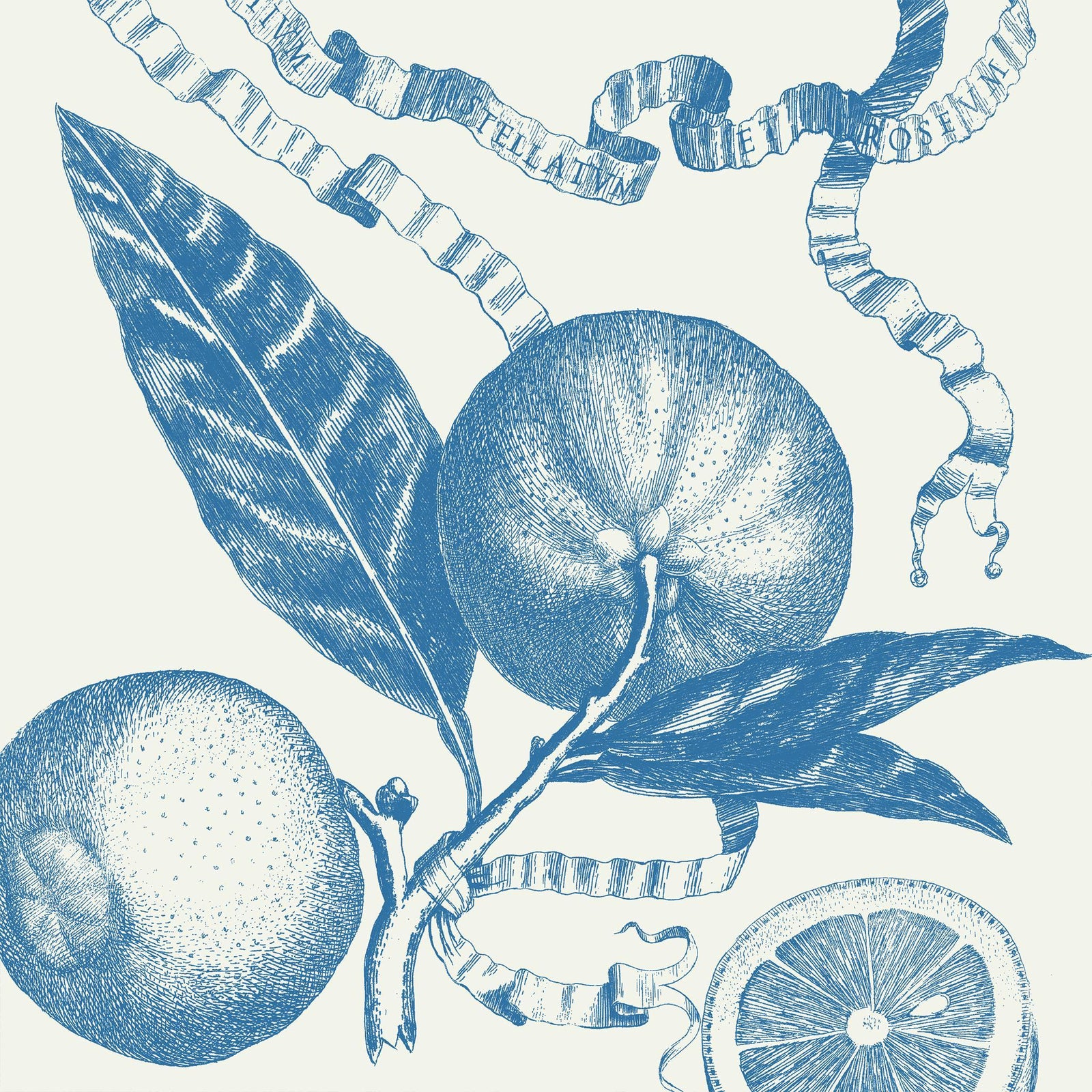 Soicher Marin Citrus Toile Wallpaper in Blue - 3 Panels | Chairish