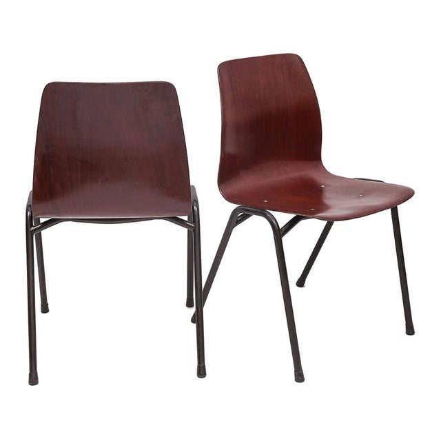 1950s Vintage Chairs from Pagholz Flötotto, 1950s, Set of 6 For Sale - Image 5 of 13