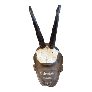 1970s Chamois Black Forest Goat Trophy Horns 3