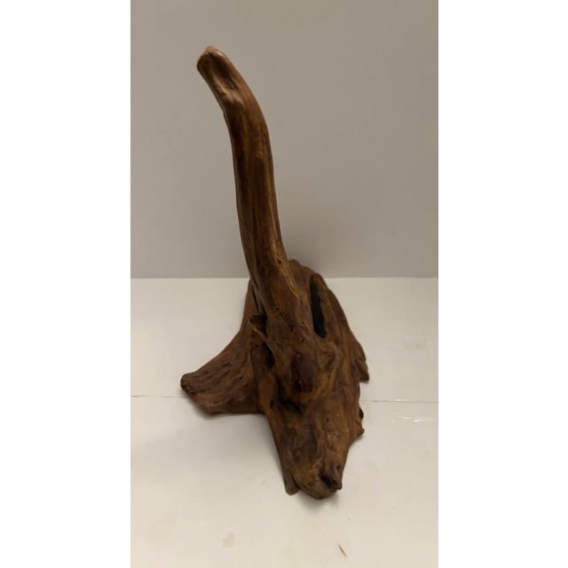 Wood Organic Root Wood Sculpture – Natural Driftwood Object – Organic Modern Decor For Sale - Image 7 of 10