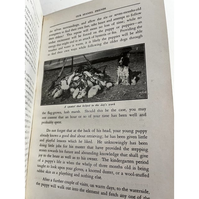 1930 All Spaniels Book For Sale In New York - Image 6 of 10