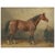 After Otto Eerelman, Mecklenburg Horse, 1898, Lithograph on Paper For Sale - Image 10 of 10