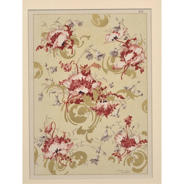 1900 - 1909 C 1900 Art Nouveau Botanical Design Chromolithograph-Poppy, Matted For Sale - Image 5 of 5