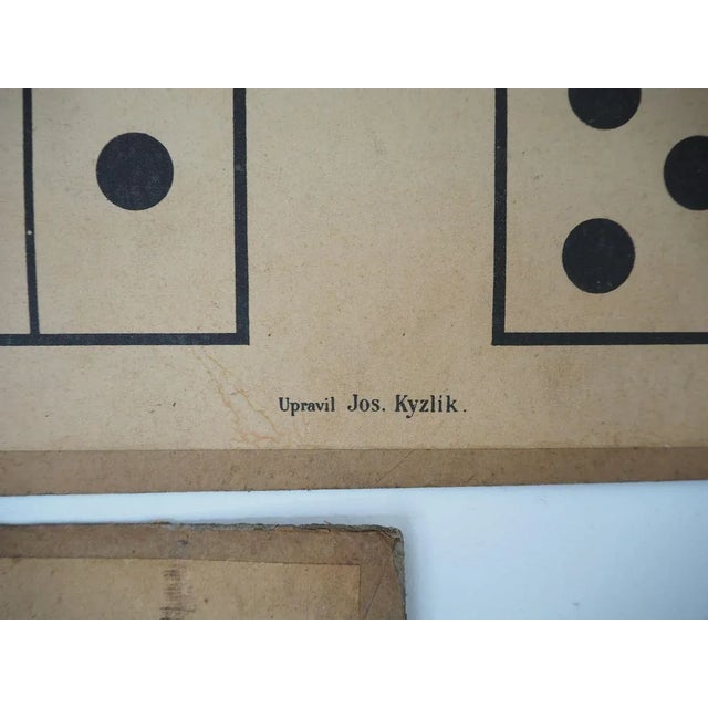 Antique Teaching Posters by A. Haase, Prague, 1900s, Set of 9 For Sale - Image 12 of 14