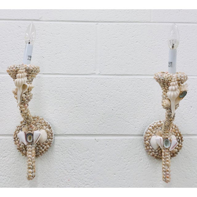 Pair Vintage Handmade Seashell Wall Sconces For Sale - Image 4 of 9
