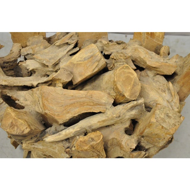 Mid 20th Century Vintage Teak Wood Root Driftwood Natural Coffee Table Pedestal Base For Sale - Image 4 of 12