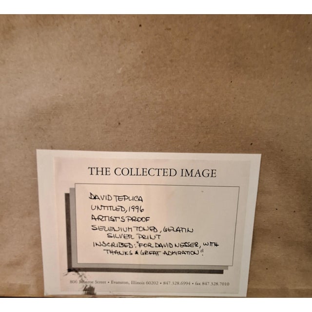 Printmaking Materials Set of Three David Teplica Untitled 1996 Artist Proof Selenium Gelatin Silver Print Photographs For Sale - Image 7 of 12