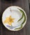 White Set of 10 Anna Weatherley Botanical Treasure Garden Rim Soup Bowl 8.75" For Sale - Image 8 of 17