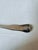 Antique C.W. Hurll Pure Coin Silver Salt Spoon For Sale In Portland, OR - Image 6 of 9