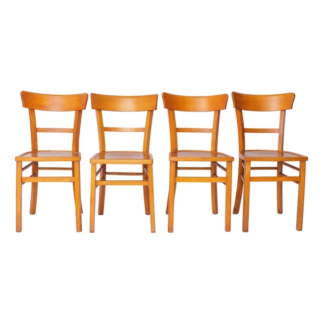 Vintage Frankfurter Dining Chairs in Beech, Germany, 1960s, Set of 4 For Sale