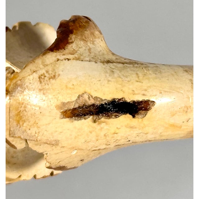 Victorian Meerschaum Lady Portrait Pipe For Sale - Image 9 of 13