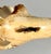 Victorian Meerschaum Lady Portrait Pipe For Sale - Image 9 of 13