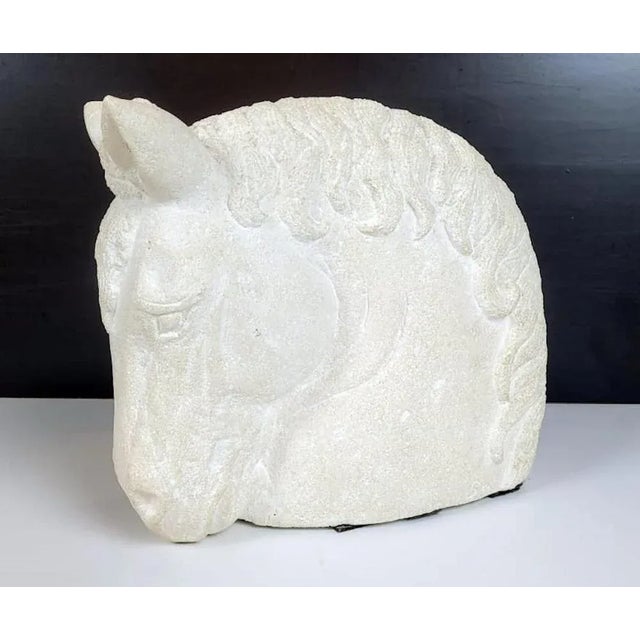 French Stone Horse Head, 1950s For Sale - Image 9 of 11
