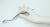 Alessi Giulio Iacchetti 'Bis' Snake Letter Opener, 2013 For Sale - Image 14 of 14