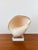 Shell Vintage Large Crowned Baler Sea Snail Shell on Lucite Base For Sale - Image 7 of 7