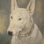 Frederick Thomas Daws, Antique English Bull Terrier, Oil on Canvas, 1920, Framed For Sale - Image 7 of 13