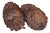 Natural 15" Jumbo Pine Cones For Sale In Chicago - Image 6 of 8