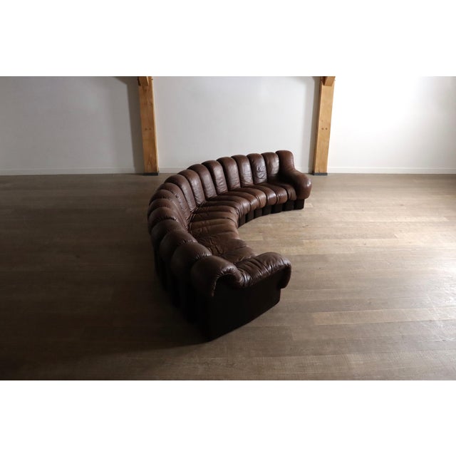 1970s DS 600 Sectional Sofa by Heinz Ulrich, Ueli Berger and Eleanora Peduzzi-Riva for de Sede, 1980s, Set of 17 For Sale - Image 5 of 12
