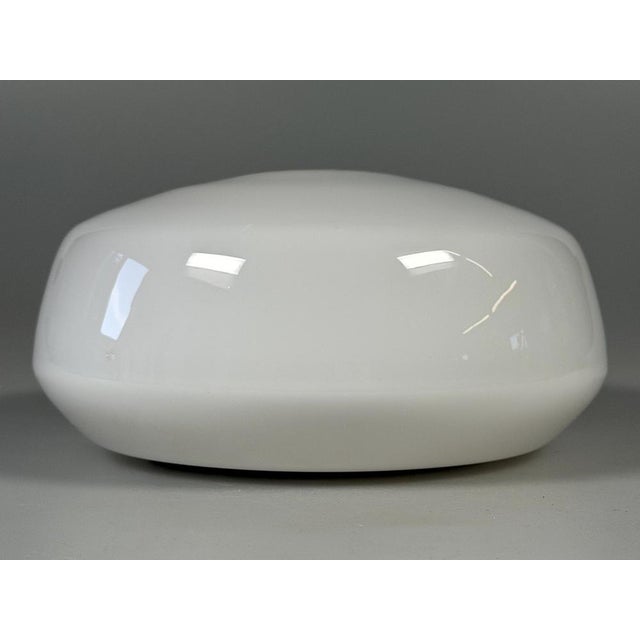 Mid-Century Ceiling Light in Frosted Glass from RZB, 1960s For Sale - Image 6 of 15