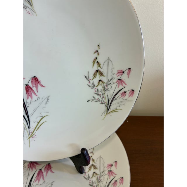 Vintage Royal Duchess Mountain Bell Pink Floral Dinner Plates, Set of 2 For Sale - Image 4 of 12