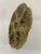 1950s French Gien Majolica Olive Green Oyster Plate For Sale - Image 9 of 15