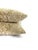 Transitional JF Fabrics Ian White Chenille and Chartreuse Damask Pillow Cover For Sale - Image 3 of 6