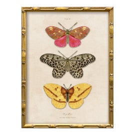 Example of Contemporary Fine Art