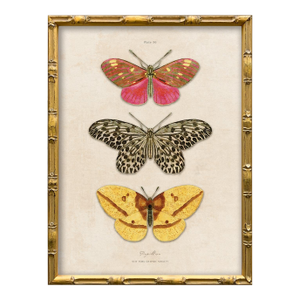 Vintage Butterfly Art Print (1), Framed
