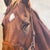 Very nice oil painting portrait of a thoroughbred race horse done by Snow In The 1960s. I am not certain if these horses...