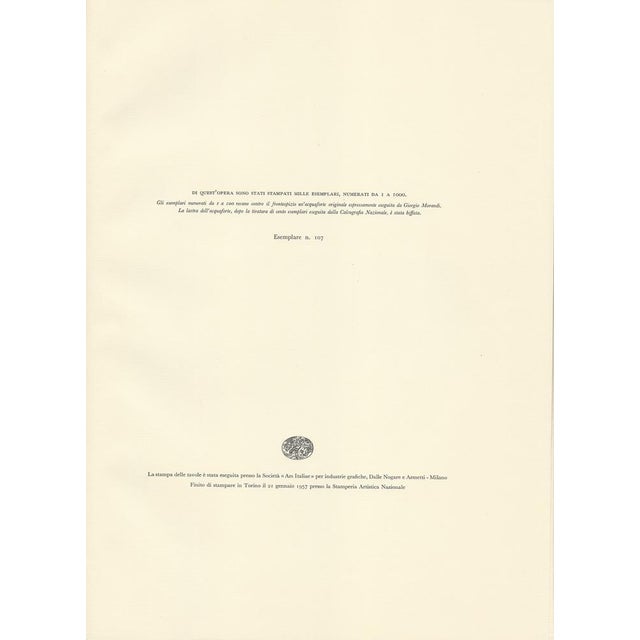 Giorgio Morandi, Shells, 1957, Lithograph For Sale - Image 6 of 7