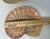 1990s Vintage MCM Fitz and Floyd Omnibus Sea Shells Nautical Appetizer Salad Plates-Set of 4 For Sale - Image 5 of 6