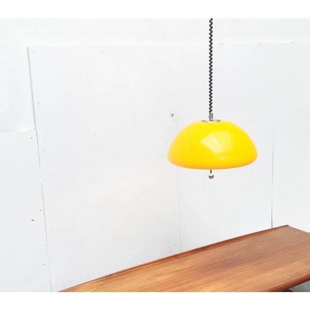Space Age Cabras Pendant Lamp by Luigi Massoni for Guzzini For Sale - Image 14 of 18