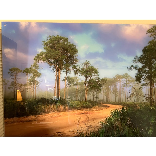 Old Florida; Highlands Hammock Park, Sebring Florida Photo Print, Pines and Palmetto. Four by Three Feet in Plastic For Sale - Image 15 of 18