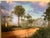 Old Florida; Highlands Hammock Park, Sebring Florida Photo Print, Pines and Palmetto. Four by Three Feet in Plastic For Sale - Image 15 of 18