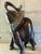 1970s Mid Century Hand-Carved Dark Hardwood Elephant, 1970s For Sale - Image 5 of 5