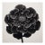 Heliotropium Flower — Vintage Botanical Photography Print For Sale