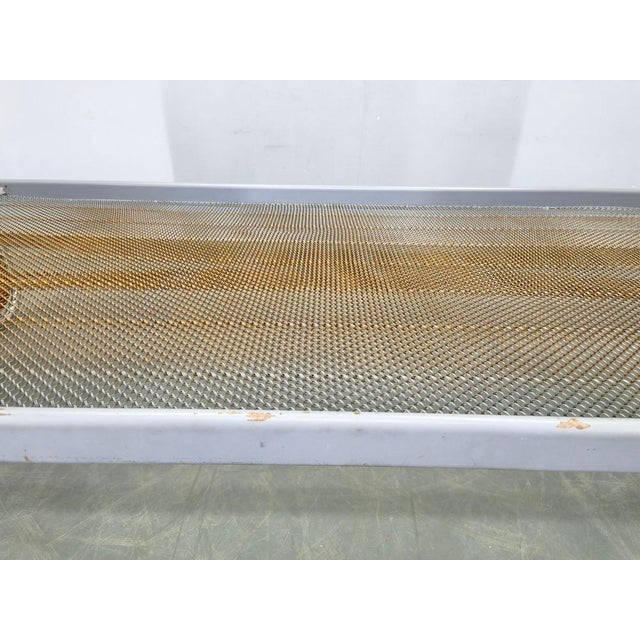 Bauhaus Tubular Steel Bed with Walnut Veneer Panels, 1930s For Sale - Image 9 of 18